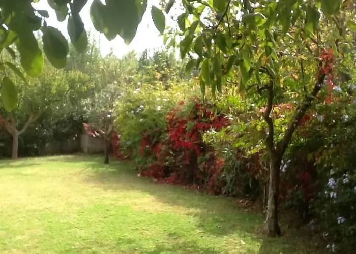 Дом отдыха The House