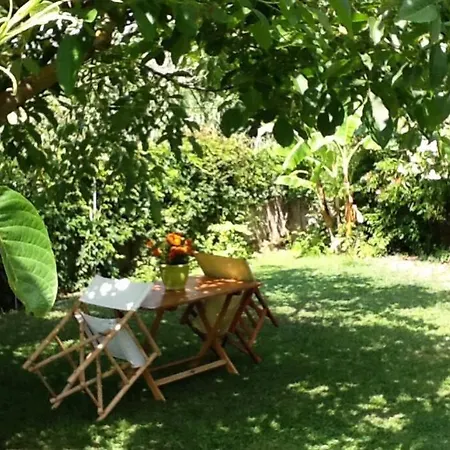 The House *